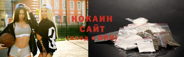 гашик Богородск