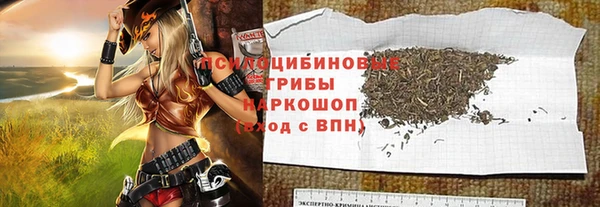 гашик Богородск